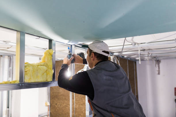 Best Insulation Removal  in Three Oaks, FL