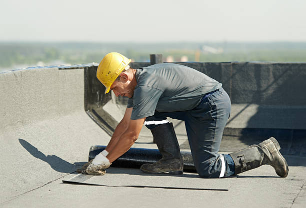 Best Attic Insulation Installation  in Three Oaks, FL