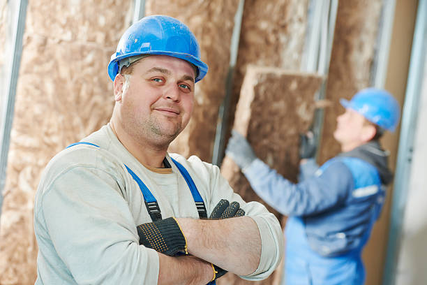 Best Fiberglass Insulation  in Three Oaks, FL